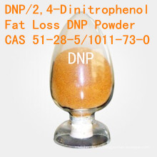 DNP für fetten Verlust 2, 4-Dinitrophenol CAS 51-28-5 hoher Reinheitsgrad DNP Gewichtsverlust-Steroid-Pulver DNP